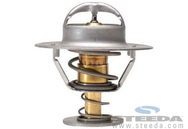 180 Degree Thermostat - 4.6L GT (96-98)